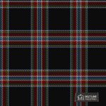 New World Celt Tartan Fabric